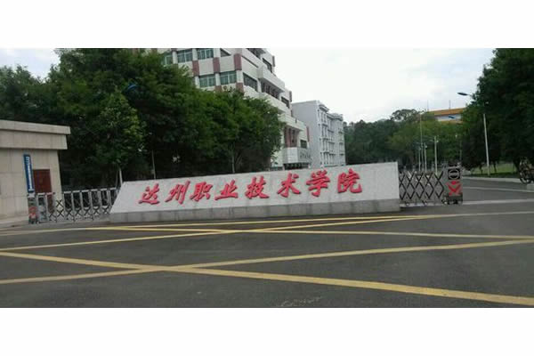 狗子28电力UPS电源守护达州职业技术学院教育系统